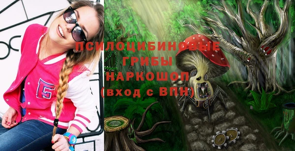 МДПВ Снежинск