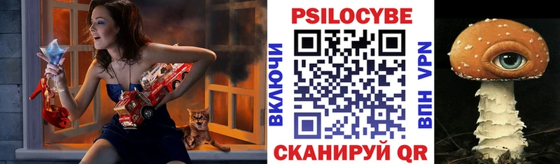 наркота  Ишимбай  Галлюциногенные грибы Psilocybine cubensis 
