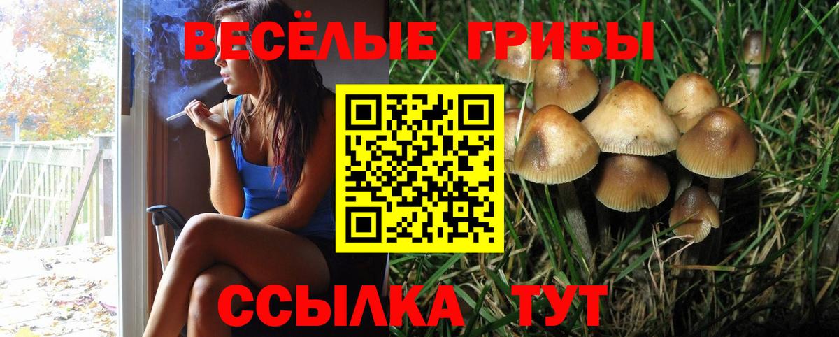 Ишимбай  Псилоцибиновые грибы MAGIC MUSHROOMS  Вход с VPN 